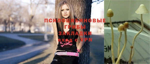 МДМА Богородицк