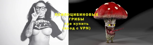 МДМА Богородицк